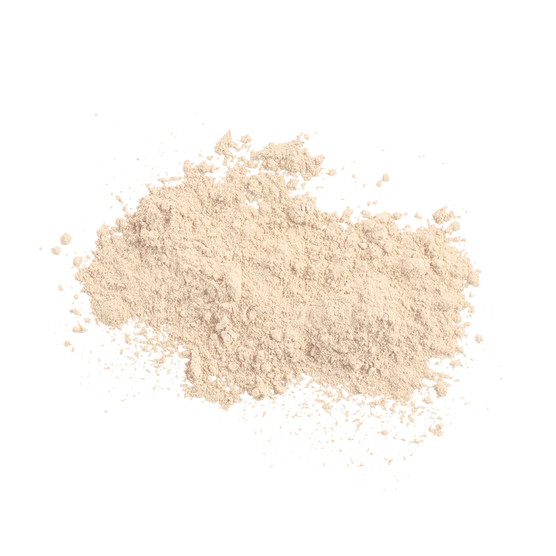 Sunforgettable Brush-On Shield